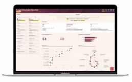 Image of Phoenix Insights financial preparedness dashboard designed by Tekja